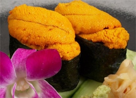 uni - sea urchin